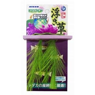 【同梱不可】【12個セット】マルカン NAP‐520 リトルガーデン浮き草（ピンク）