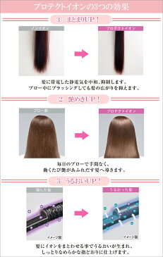 【あす楽 送料無料】プロテクトイオンヘアドライヤー【 マイナスイオンドライヤー ダブルイオン テスコム tescom 】LF500B01b000