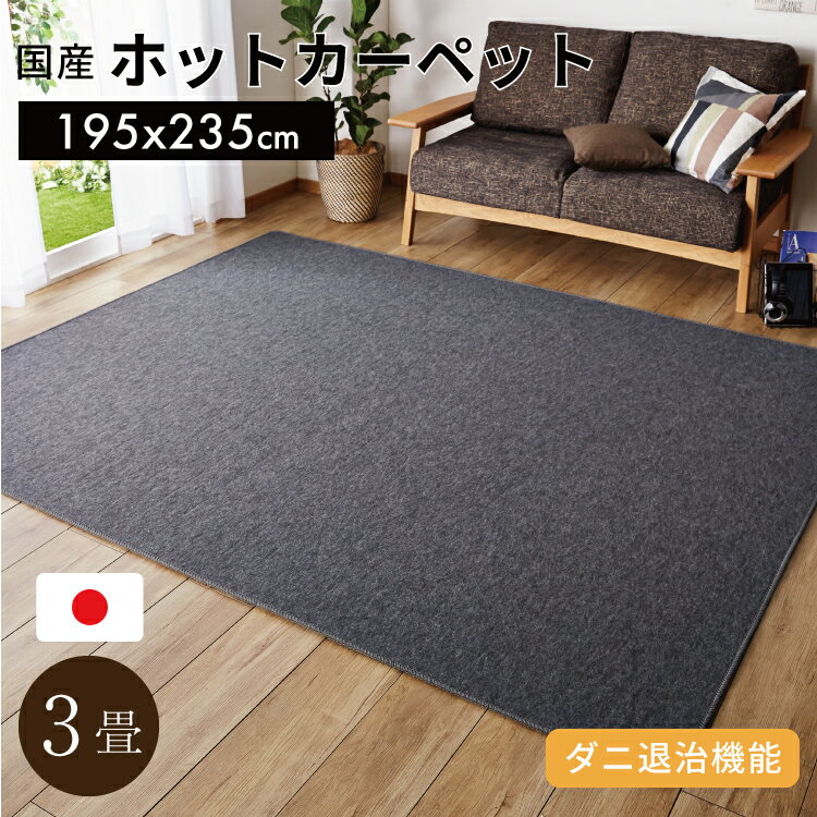 【★国産★ 送料無料】ホットカーペット 3畳 本体 195x235cm【 ホットカーペット3畳用 本体 】[01htc]