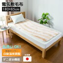 【★国産★送料無料】電気毛布 電気敷毛布(ロング) NA-08SL-BE【 電気毛布 日本製 国産 毛布 ナカギシ ホットブランケット しき毛布 ひざ掛け 】