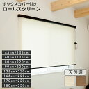 カバー付きロールスクリーン エクシヴ天然調 8サイズ【 ロールスクリーン ロールカーテン ロールブラインド ロール スクリーン 】