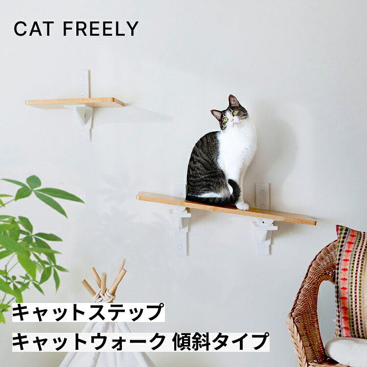 キャットステップ/キャットウォーク...