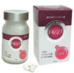 【2本セット】腸内常在 フェカリス菌 FK－23 180粒×2本 乳酸球菌 腸内環境 腸内 腸活 美腸 腸内フローラ サプリ サプリメント正規品 軽減税率適用 送料無料