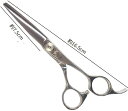 BEL scissors オフセットストレートハンドル 業務用シザー BSA-02 6.0インチ ブラントカット用 パワータイプ 業務用 美容シザー 理美容ハサ...