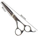 BEL scissors オフセットストレートハンドル 業務用シザー BSB-01 5.5インチ 片剣刃 ブラントカット用 パワータイプ 業務用 美容シザー 理...