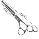 BEL scissors オフセットストレートハンドル 業務用シザー BSB-02 6.0インチ 片剣刃 ブラントカット用 パワータイプ 業務用 美容シザー 理...