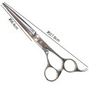BEL scissors オフセットストレートハンドル 業務用シザー BSB-03 6.5インチ 片剣刃 ブラントカット用 パワータイプ 業務用 美容シザー 理...