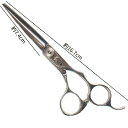 BEL scissors コブ有りオフセットハンドル 業務用シザー BSD-02 6.0インチ 片剣刃 ブラントカット用 パワータイプ 業務用 美容シザー 理美...