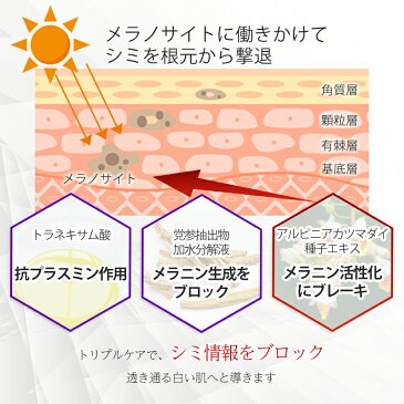 【1,000円ポッキリ/トライアル】トラネキサム酸 化粧水 ローション 美白 シミ しみ シミ そばかす くすみ デマレ TNA ホワイトニングローション 45mL グリチルリチン酸2K シミ対策 エイジングケア スキンケア 化粧品 母の日 demarrer 【医薬部外品】【ネコポス/ポスト投函】