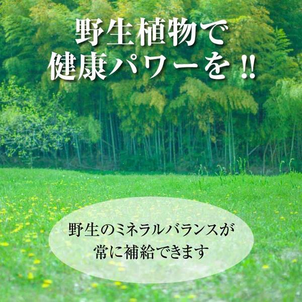マグマンE 50g 粒状マグマン 中山栄基先生開発 BIE野生植物ミネラルマグマン エンザイム タブレットタイプ 錠剤 有限会社 新樹 日本製 正規品 軽減税率適用 送料無料