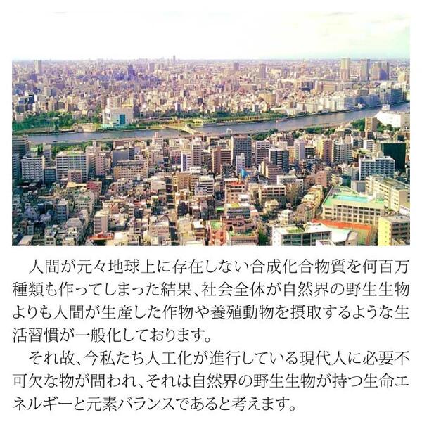 マグマンE 50g 粒状マグマン 中山栄基先生開発 BIE野生植物ミネラルマグマン エンザイム タブレットタイプ 錠剤 有限会社 新樹 日本製 正規品 軽減税率適用 送料無料