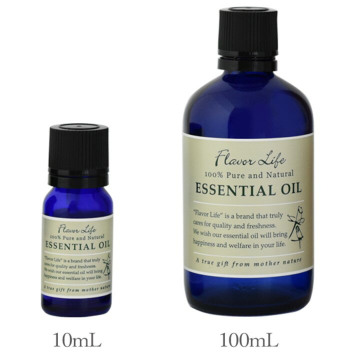 【詰替用/アルミパック】ラベンダー・フランス 100ml エッセンシャルオイル 精油 アロマオイル アロマ 大容量 業務用 真正ラベンダー インセント AEAJ 認定精油 日本アロマ環境協会 アロマディフューザー アロマ加湿器【IST】