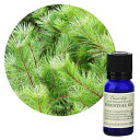 【ネコポス/ポスト投函】フレーバーライフ エッセンシャルオイル パインニードル 10mL【樹木系】フレッシュで清々しい森林の香り Flavor Life 精油 アロマ アロマテラピー玄関 寝室 リビング 正規品 送料無料