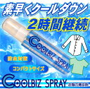 【冷却スカーフプレゼント!】クールビズスプレー 100mL