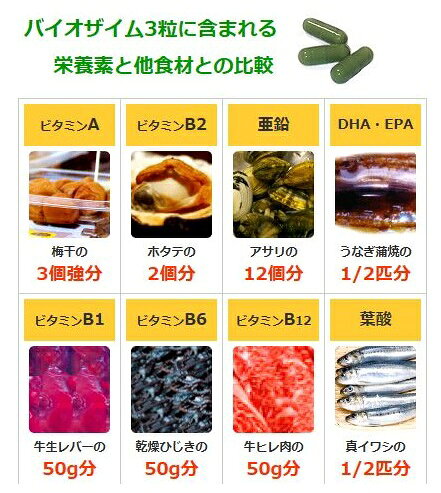 【最大600円先着クーポン〜10/25】【ランキング入賞】BYO ZYME みどりむし 100粒 ...