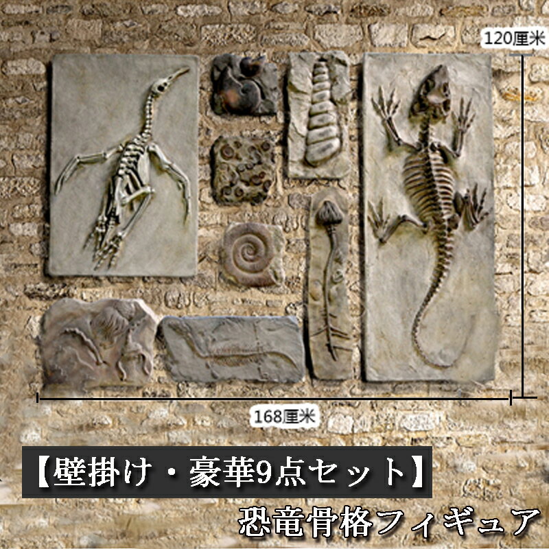 恐竜骨格フィギュア［予約販売］　恐竜化石　植物化石　貝化石