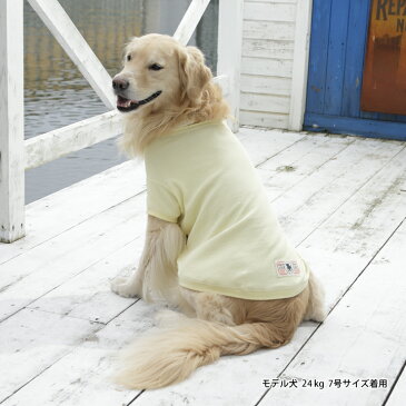 ★ポイント5倍★ 半袖 Tシャツ 中型犬 大型犬 シンプルVネックT 6〜7号 LIFELIKE 犬 服 春夏 春 夏用 夏 ゴールデン ラブラドール シュナウザー 犬服 犬の服