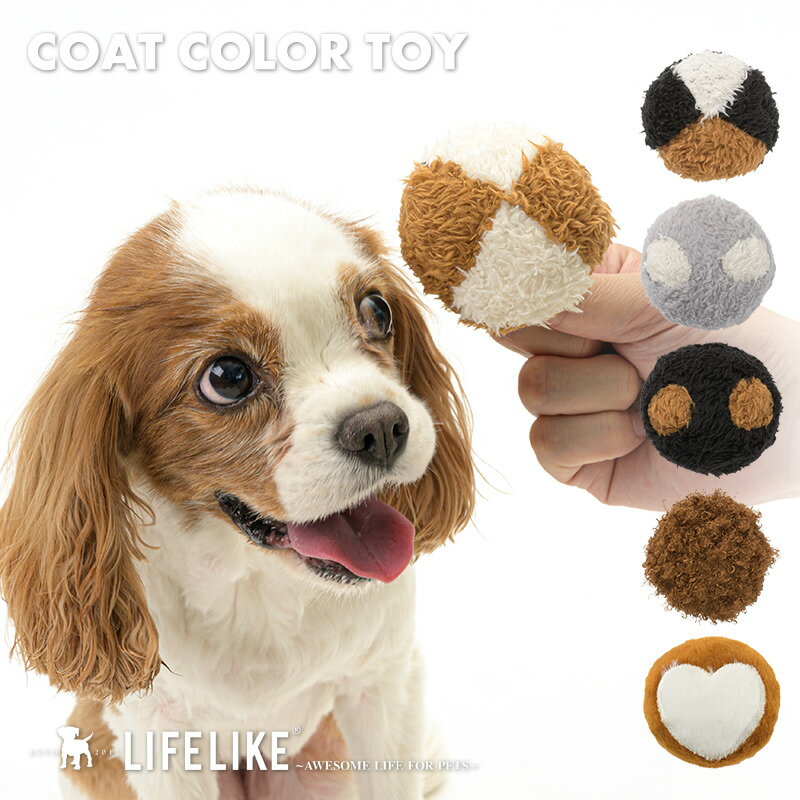 犬用おもちゃ　キャンバスTOY　for　DOG（ラグビーボール／ミートボーン／ボール）超小型犬～小型犬【HLS_DU】　関東当日便