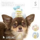 被り物 犬 猫 かぶりもの 帽子 小型犬 中型犬 バースデー イベント パーティグッズ インスタ映え 誕生日 LIFELIKE［返品不可・サイズ交換可］