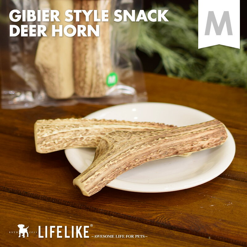 【鹿角えぞ鹿の角 M】犬 鹿 骨 GIBIER STYLE 犬用 おやつ オモチャ 玩具 ガム 無添加 噛む デンタルケア ストレス解消 お留守番 小型犬 中型犬 大型犬 フード トリーツ ご褒美 しつけ 躾 トレーニング サステナブル SDGsのサムネイル