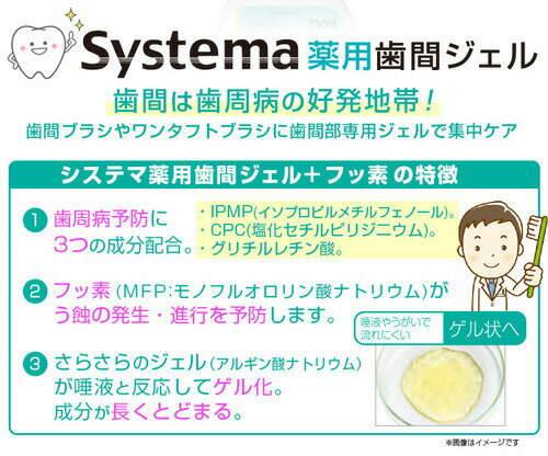 デント システマ薬用歯間ジェル 20mL 医薬部外品歯磨き ハミガキ オーラルケア