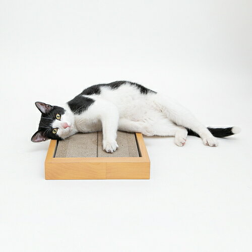 HappyDays ゴミが出にくいつめとぎダブル ペットプロ ハッピーデイズ 猫 ネコ ダンボール 爪とぎ つめ..