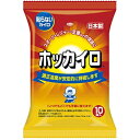 \ポイント5倍確定/お買い物マラソンホッカイロ 貼らないタイプ レギュラー 10個入り温かい 温める 保温 温熱 はらない カイロ 使い捨て 興和 コーワ