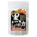 燃活×5つの黒パワー!黒ショウガ ×5つの黒 ブラックジンジ...