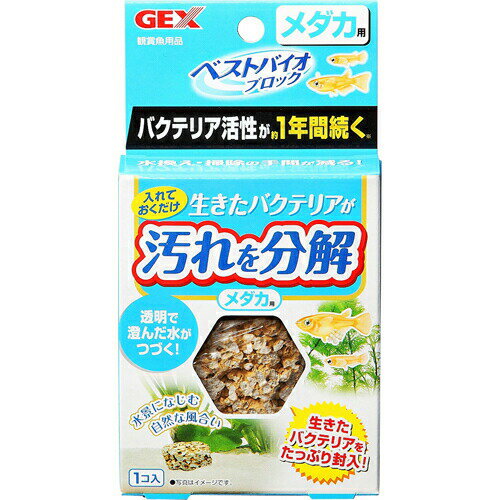 ベストバイオブロック メダカ 1コ入