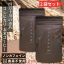 【2袋セット】 四万十玄米珈琲 ( 玄米コーヒー ） 四万十無農薬玄米 ノンカフェイン デカフェ 玄米焙煎パウダー 玄米 顆粒タイプ 100g×2個 賞味期限2026/4/4