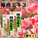 【2個セット】 梅肉エキス 90g×2 健康フーズ 紀州梅100% 青梅 和歌山県産 梅 賞味期限2027.11.14