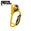 PETZL ڥĥ Ascension Ascender å󥷥 å B17ARA R ܸդ [¹͢]  Right hand (gold/black)