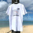 ≪正規品≫≪THE NORTH FACE HAWAII 限定 メンズ Tシャツ size S≫ザ ノースフェイス フロントプリント