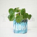  プラントポーチ Plant Pouch/Aloha Rainbow アロハレインボー