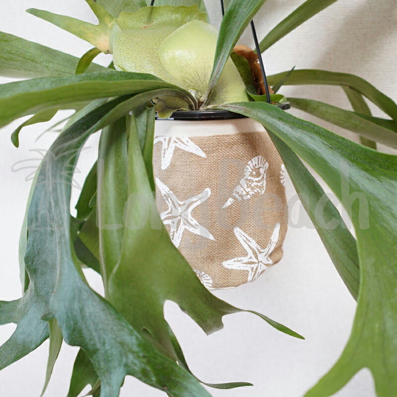 [SEVEN ISLAND]【PP006】 プラントポーチ Plant Pouch/Star Fish スターフィッシュ ヒトデ【鉢植えカバー】【アロハ】【ハワイ】【ALOHA】【HAWAII】【セブンアイランド】【SS0604】【SB】