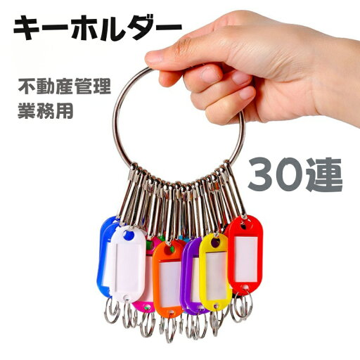 キーホルダー タグ 鍵 管理 保管 名札付き 30連 不動産 管理 IDキーリングタグ アパート用 カギ収納 業務用 キーホルダー タグ 鍵 管理 保管 名札付き 30連 不動産 管理 IDキーリングタグ アパート用 カギ収納 業務用