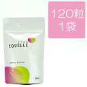 【薬剤師・更年期相談特典付き】エクエル パウチタイプ 120粒1パック 医療機関・調剤薬局限定販売 1日4粒【メール便送料無料】【正規販..