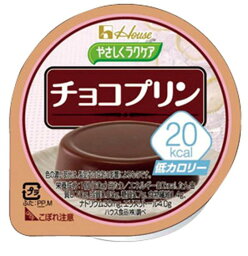 コクがあるのに低カロリー　やさしくラクケア20kcal チョコプリン 86892 60g