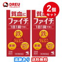 【月間優良ショップ】【2個セット送料無料】ファイチ 120錠【第2類医薬品】小林製薬