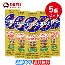 【1日限定全品3%OFF】【月間優良ショップ】【5個セット送料無料】ピロエースZクリーム 15g 【指定第2類医薬品】※セルフメディケーション税制対象商品