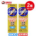 【月間優良ショップ】【2個セット送料無料】ピロエースZ液 15mL【指定第2類医薬品】 ※セルフメディケーション税制対象商品