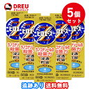 【月間優良ショップ】【5個セット送料無料】ピロエースZ液 15mL【指定第2類医薬品】 ※セルフメディケーション税制対象商品