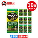 【マラソン期間ポイントアップ】【送料無料】【第2類医薬品】キャベジンコーワαプラス 300錠