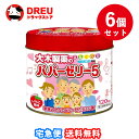 【マラソン期間最大500円OFF】【月間優良ショップ】【お得な6個セット】【指定第2類医薬品】 大木製薬 パパーゼリー5 120粒