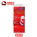 【月間優良ショップ】CIELO シエロ ヘアカラーEX クリーム6 (ダークブラウン)