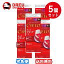 【月間優良ショップ】【お得な5個セット】CIELO シエロ ヘアカラーEX クリーム6 (ダークブラウン)