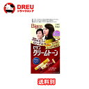 ビゲン クリームトーン 6G 自然な褐色【医薬部外品】