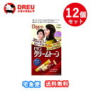 【お得な12個セット】ビゲン クリームトーン 6G 自然な褐色【医薬部外品】