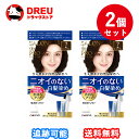 【お買い物マラソン15日限定ポイント5倍UP!】【お得な2個セット】ダリヤ サロン ド プロ 無香料ヘアカラー 早染めクリーム(白髪用) 7 深いダークブラウン 40g+40g (医薬部外品)