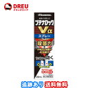【1日限定全品3%OFF】【月間優良ショップ】【送料無料】ブテナロックVαスプレー 20mL 【指定第2類医薬品】※セルフメディケーション税制対象商品